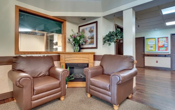 A cozy living room area with two brown armchairs, a fireplace, and decorative elements.