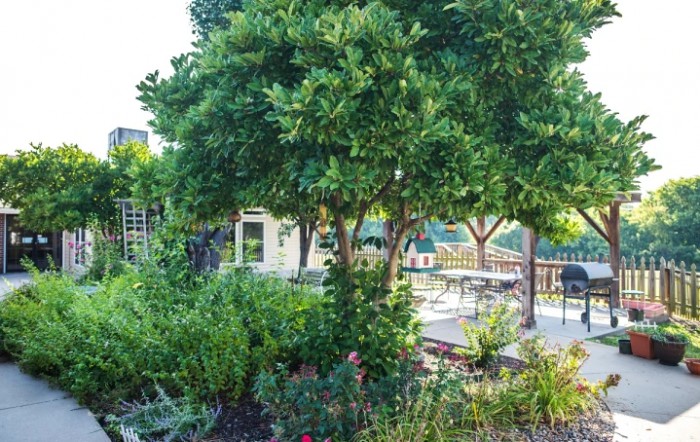 A lush garden with trees and a patio area equipped with benches.