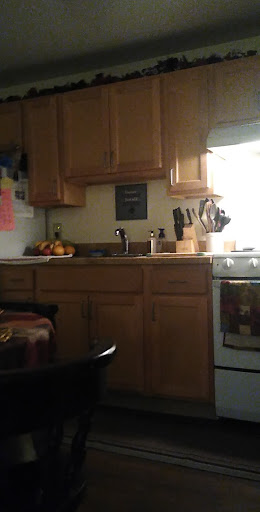 A cozy kitchen space with wooden cabinets and a well-equipped cooking area.