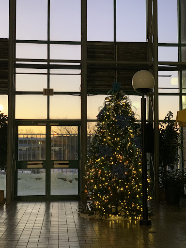 A beautifully decorated Christmas tree illuminated with lights, set against the backdrop of a sunset streaming through large windows.