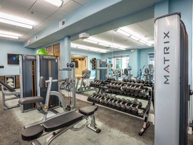 A well-equipped gym with various exercise machines and weights.