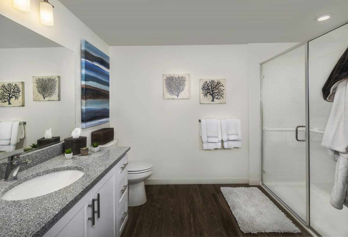 A modern bathroom with a sleek countertop, large shower, and contemporary wall art.