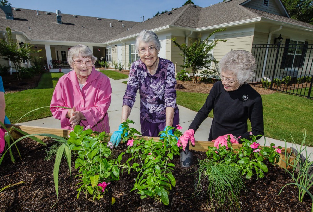 Three elderly women enjoying gardening together outside.