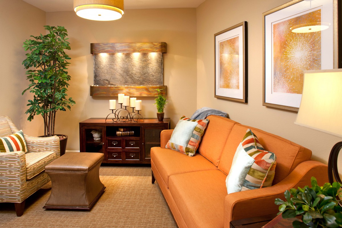 Cozy living room with an orange sofa and contemporary decor.