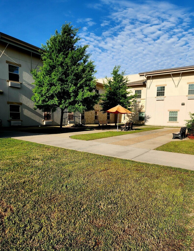 A sunny courtyard with trees and outdoor seating surrounded by a building.