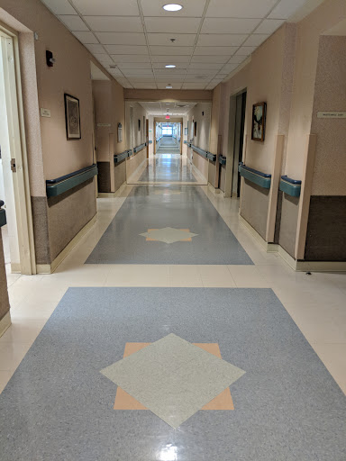 A well-lit hospital hallway showcasing clean floors and a calming atmosphere.