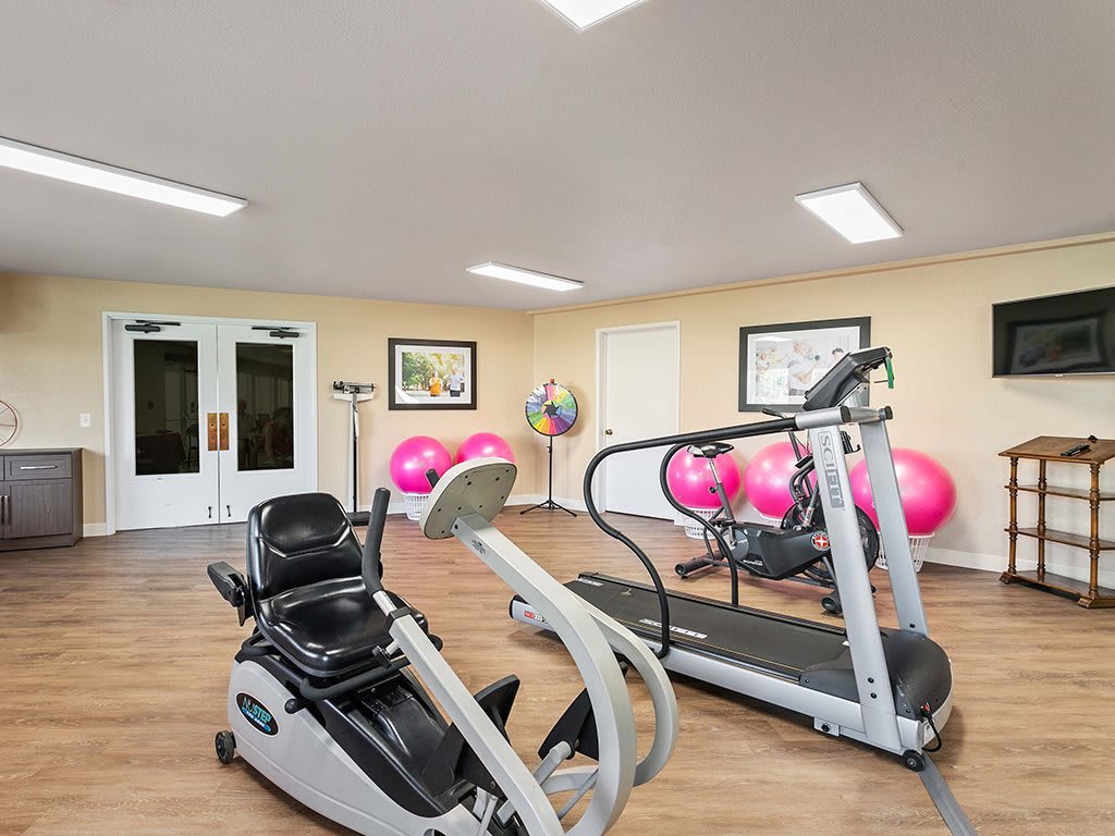 A small gym room featuring an exercise bike, a treadmill, and several yoga balls.