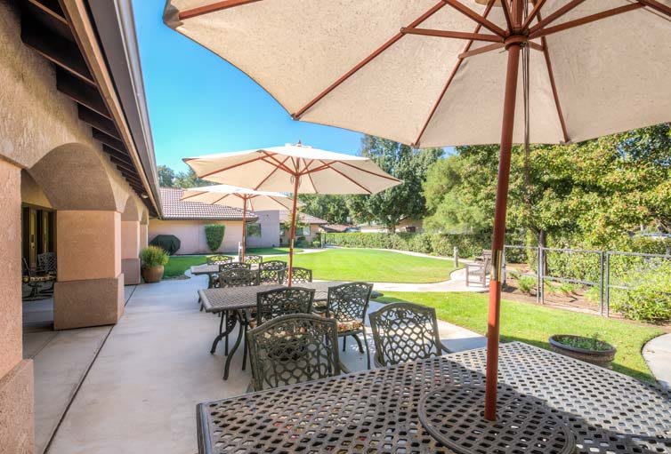 A sunny outdoor patio with tables, chairs, and umbrellas overlooking a lush garden.