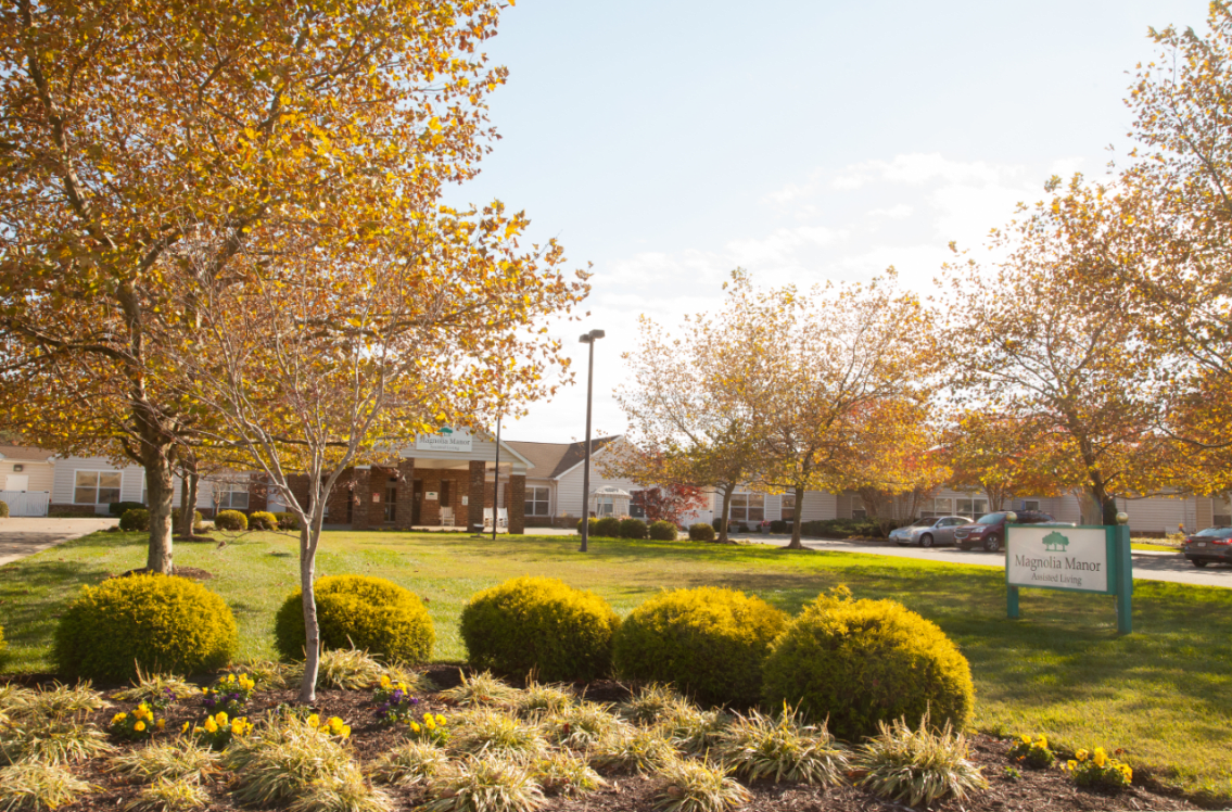 A serene autumn landscape with trees and bushes under warm sunlight.