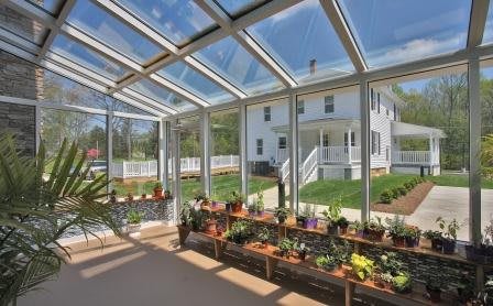 A sunlit indoor garden with potted plants under a glass ceiling.