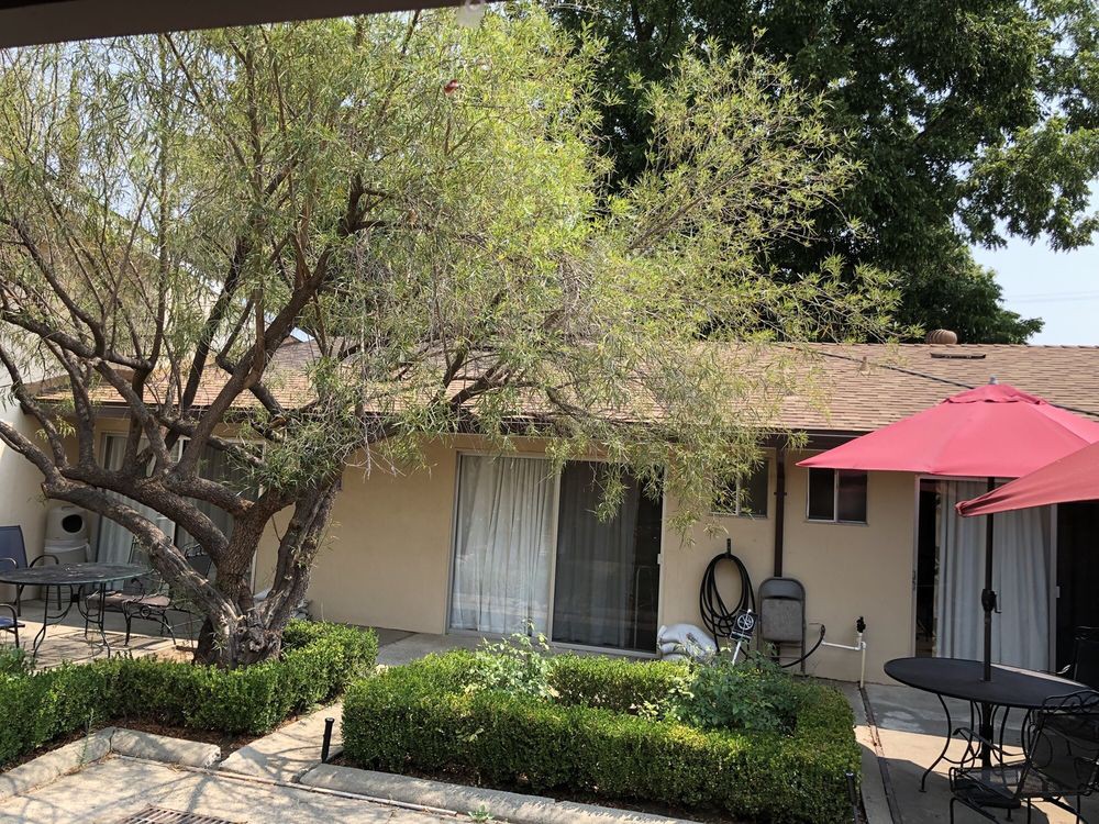 A cozy outdoor patio area with a tree and garden in front of a house, shaded by a red umbrella.