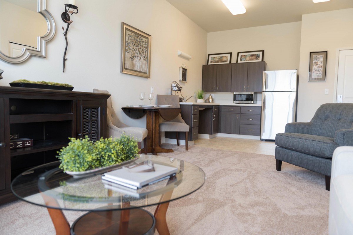 A modern apartment interior featuring a cozy living room with a stylish couch, coffee table, and greenery, adjacent to a compact kitchen area.