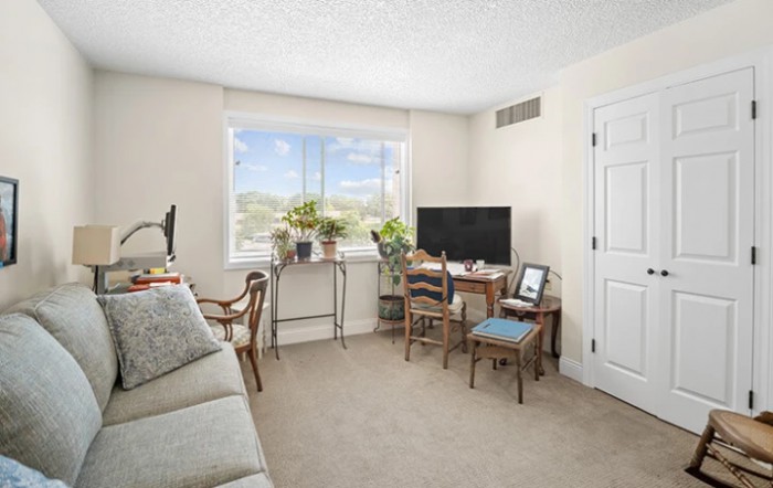 A cozy living room with a home office setup featuring a desk, chair, sofa, and television near a window adorned with plants.