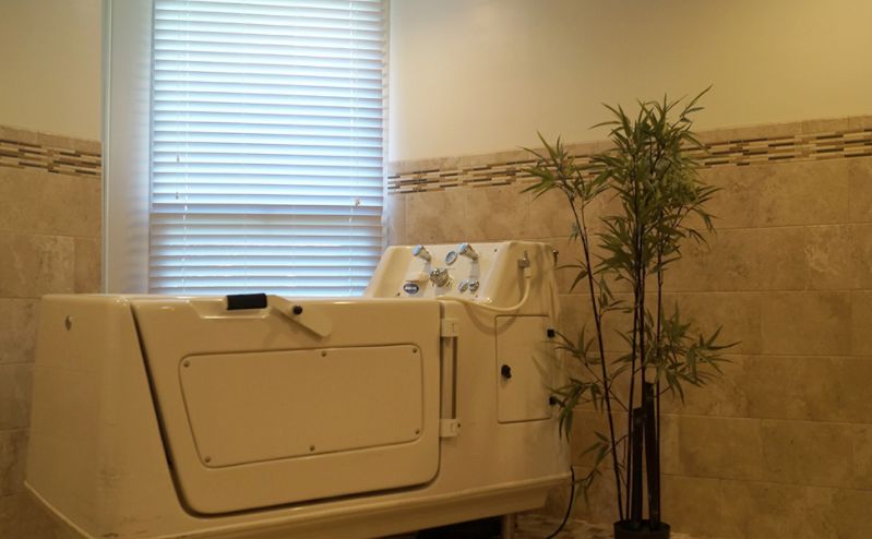Willow Wood Care Center