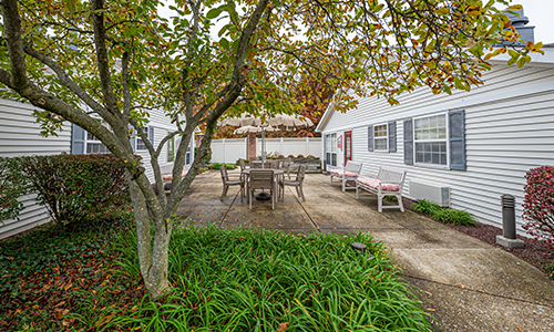 A peaceful backyard patio with outdoor seating surrounded by greenery and a large tree.