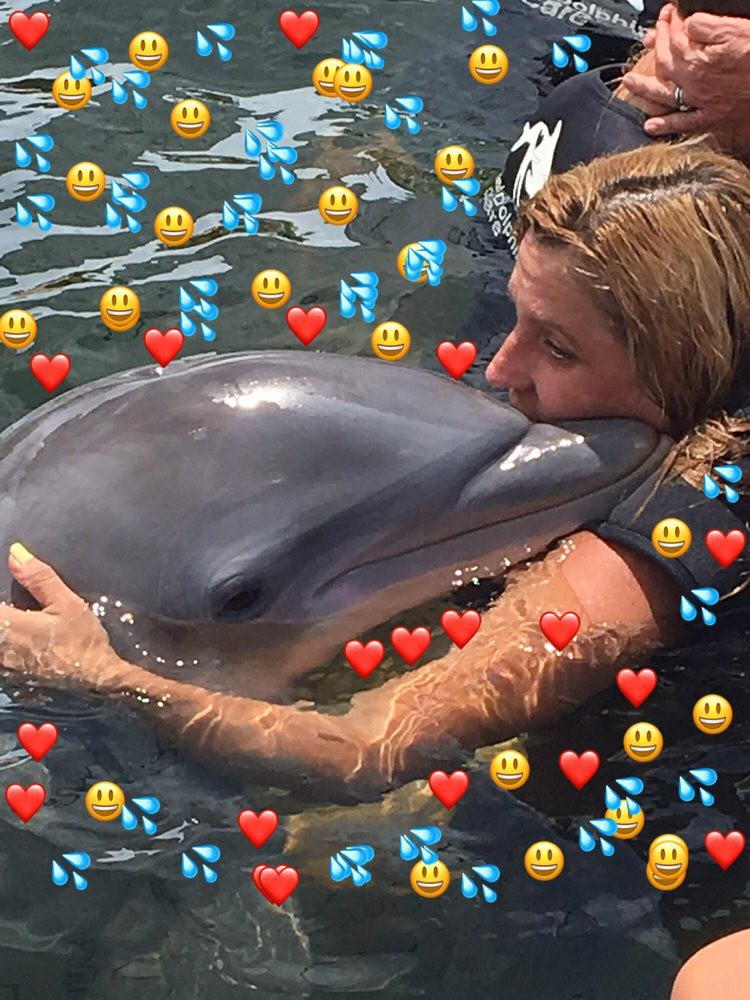 A person hugging a dolphin in the water surrounded by heart and smiley emojis.
