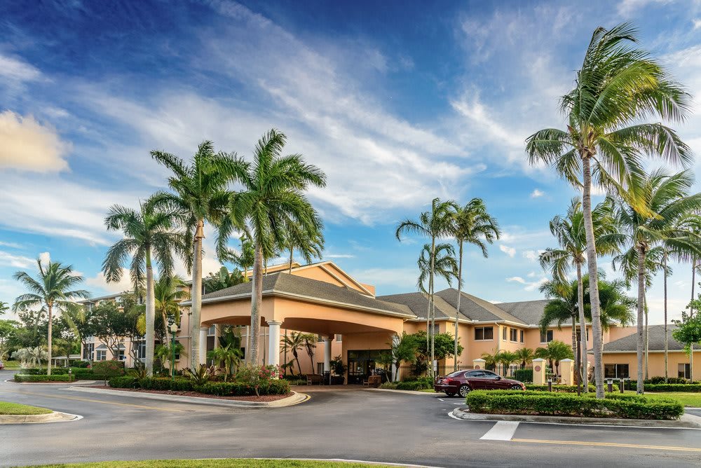 A sunny day at a tropical hotel surrounded by palm trees.