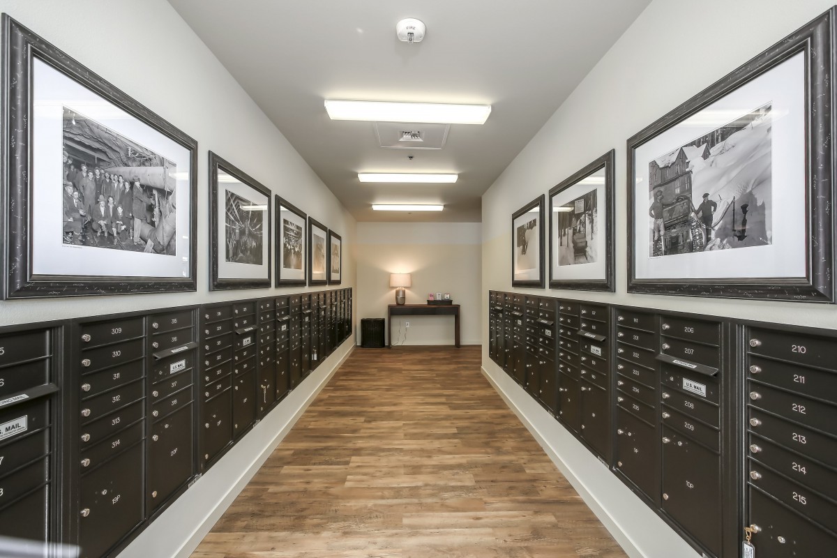Vintage at Mill Creek