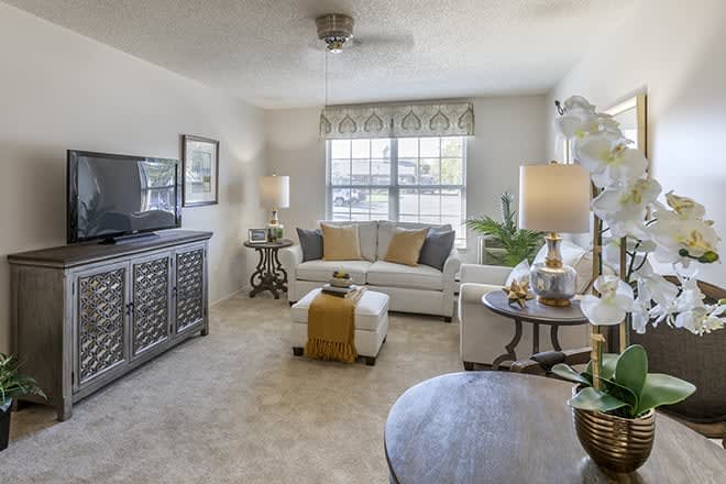 A cozy and well-decorated living room with a sofa, television, and various decorative elements.