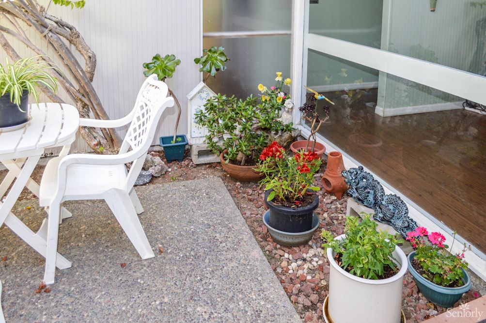 A cozy patio area with various potted plants and a white plastic chair.