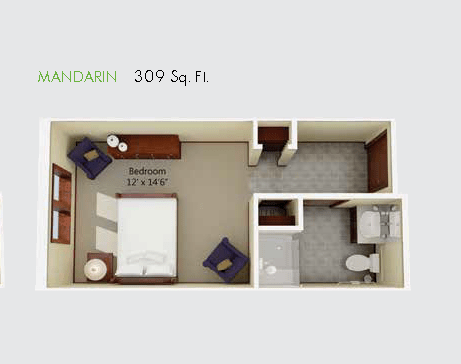 Studio apartment floor plan of 309 square feet with a bedroom and bathroom.