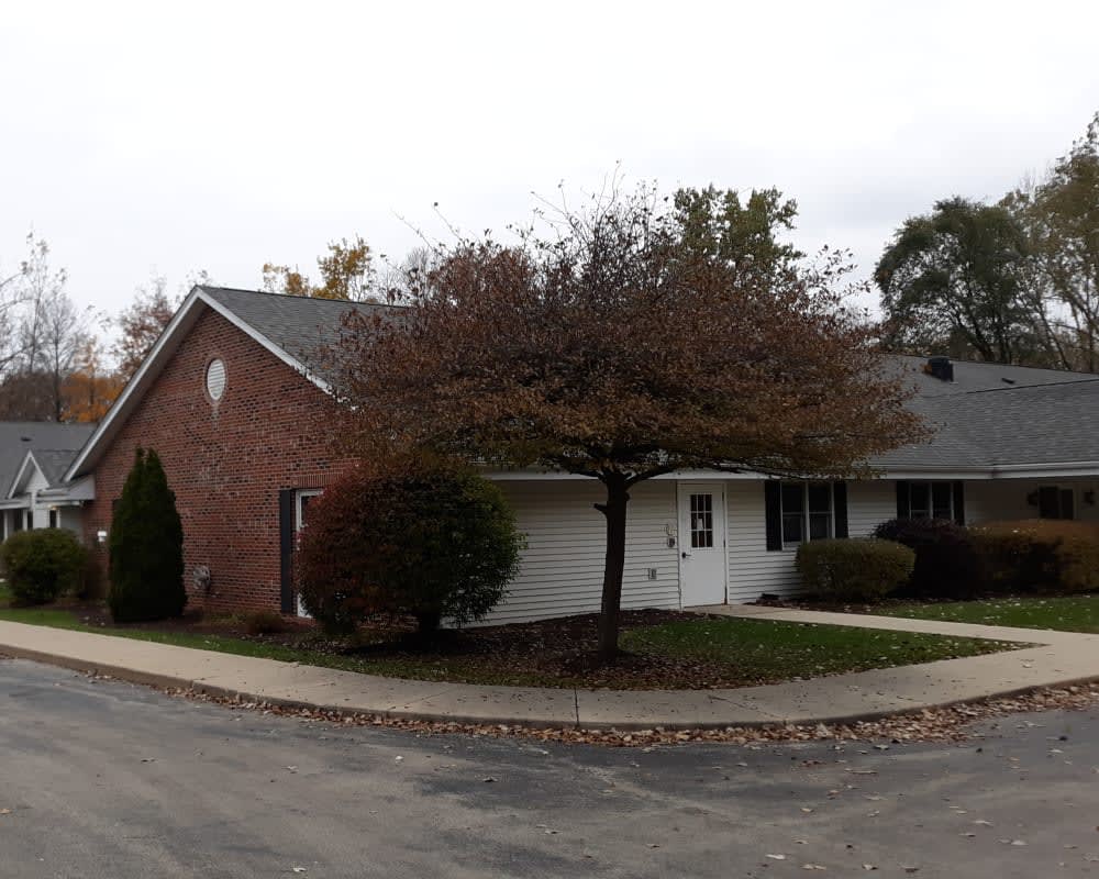 A suburban brick building with a tree in front, showcasing an autumn setting.