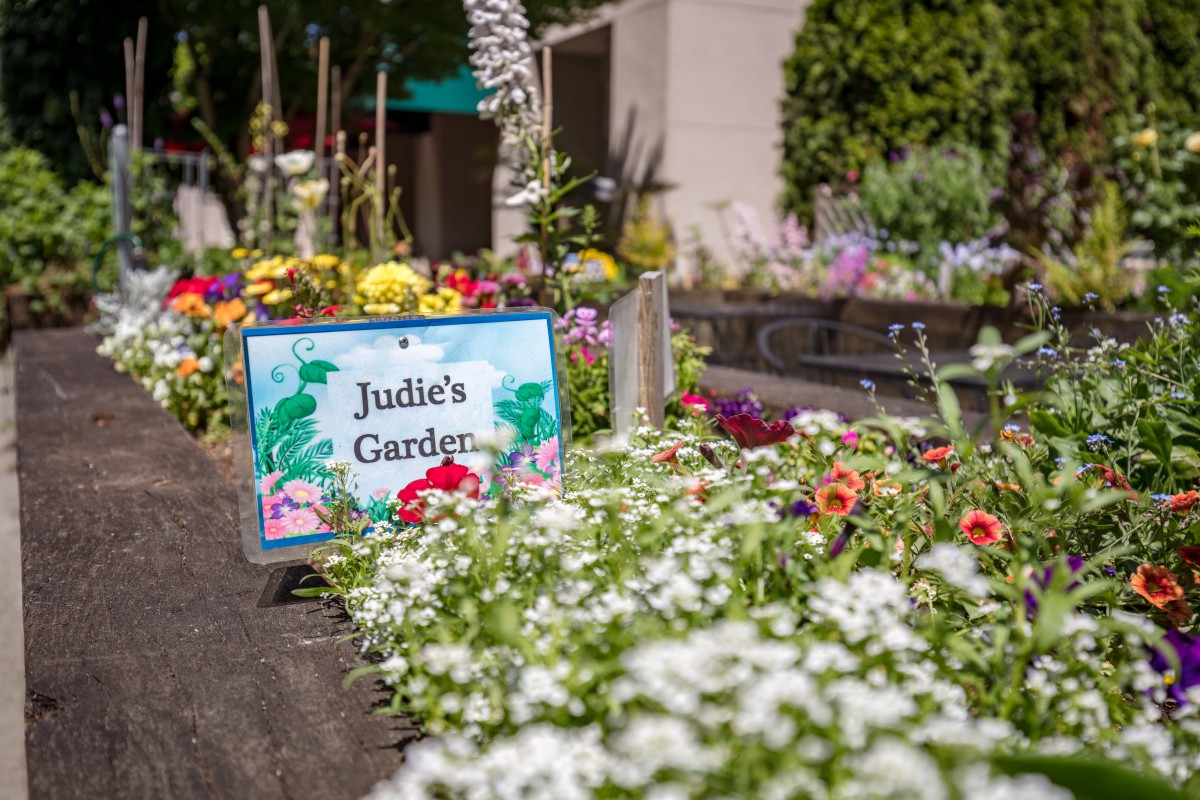 A vibrant garden labeled with a sign reading 'Julies Garden,' showcasing a variety of colorful flowers.
