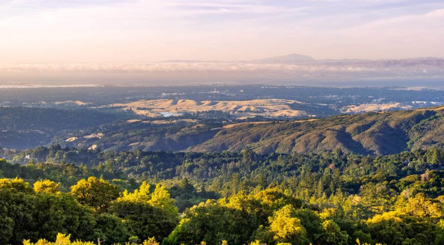 A breathtaking view of a valley surrounded by mountains, with golden light illuminating the trees at sunset.