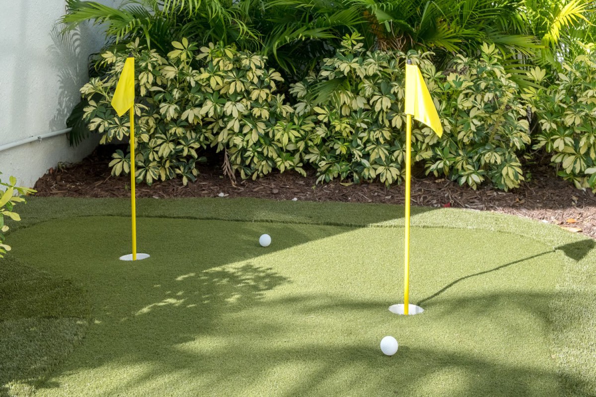 A putting green with two golf balls and flags under the sun.