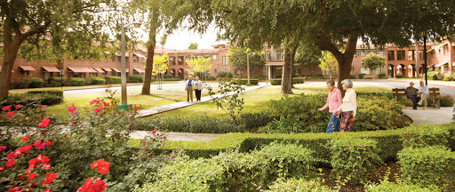 A serene park scene with people walking along a pathway surrounded by lush greenery.