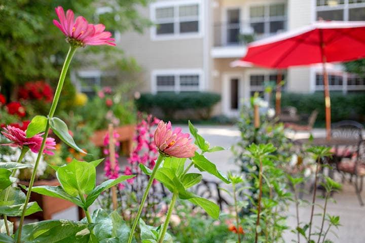 A vibrant garden with blooming flowers in front of an apartment complex.