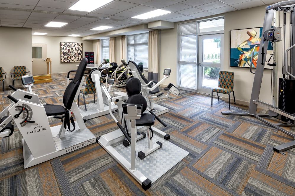 A modern gym equipped with various exercise machines and natural lighting.