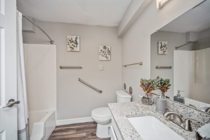 A modern bathroom with a granite countertop, featuring a vanity, toilet, and bathtub, accented by decorative wall art.
