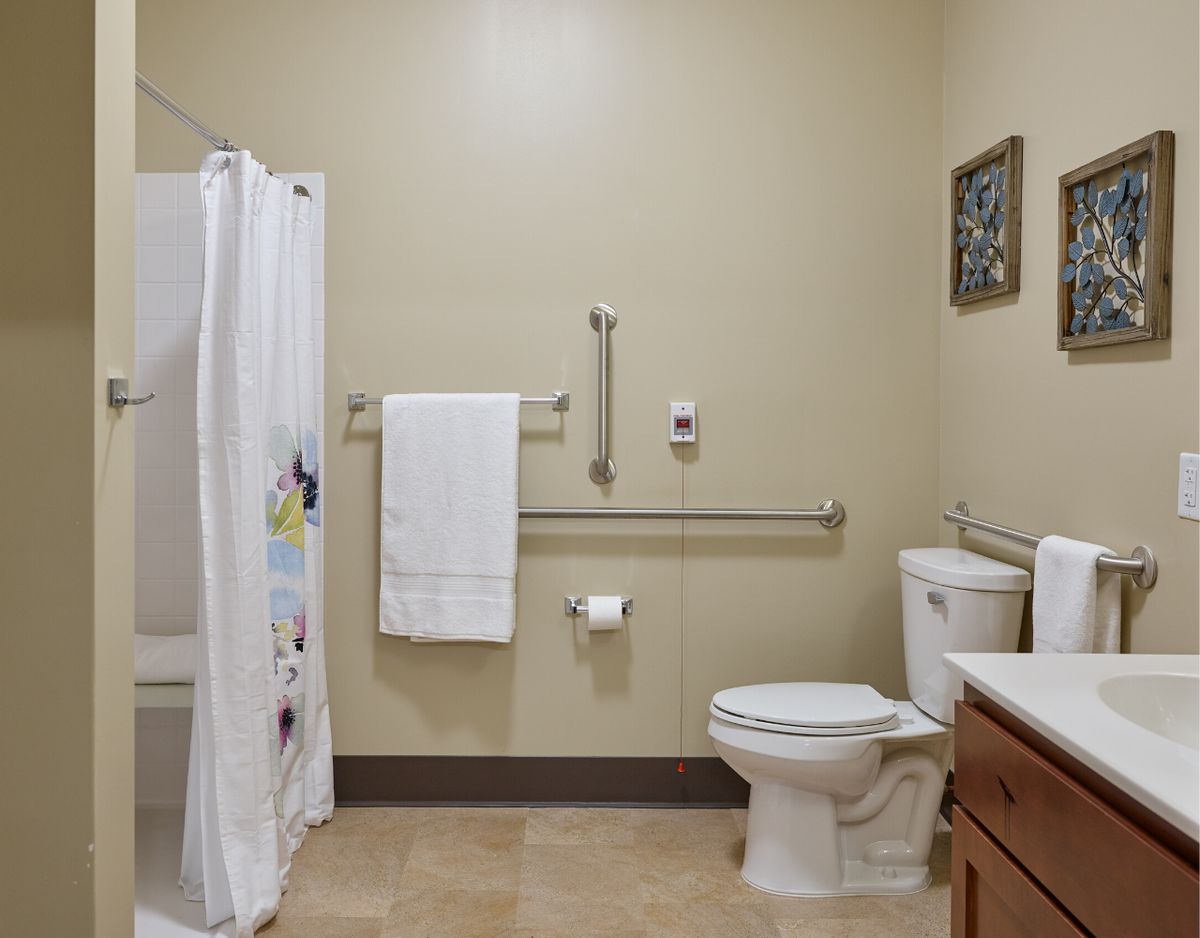 An accessible bathroom featuring a toilet, grab bars, shower with curtain, and sink.