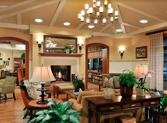 A cozy living room with a fireplace and elegant chandelier, featuring comfortable furniture and decorative plants.