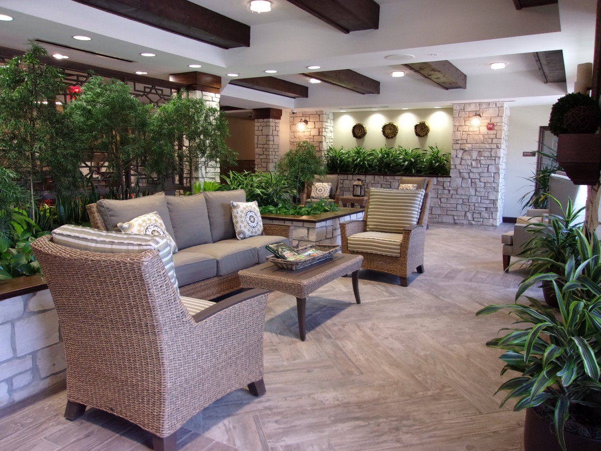 A cozy living room with modern decor features a seating area surrounded by lush indoor plants.