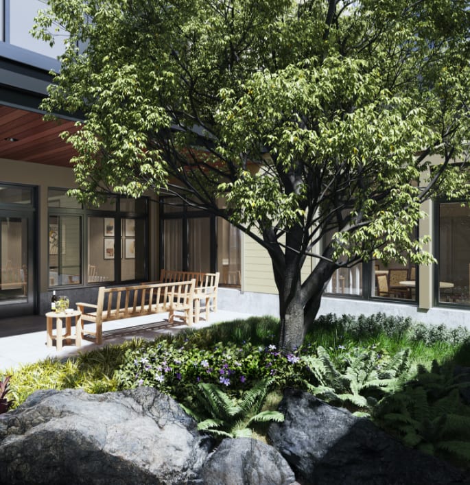 A tranquil garden area with a tree and benches, surrounded by modern architecture.