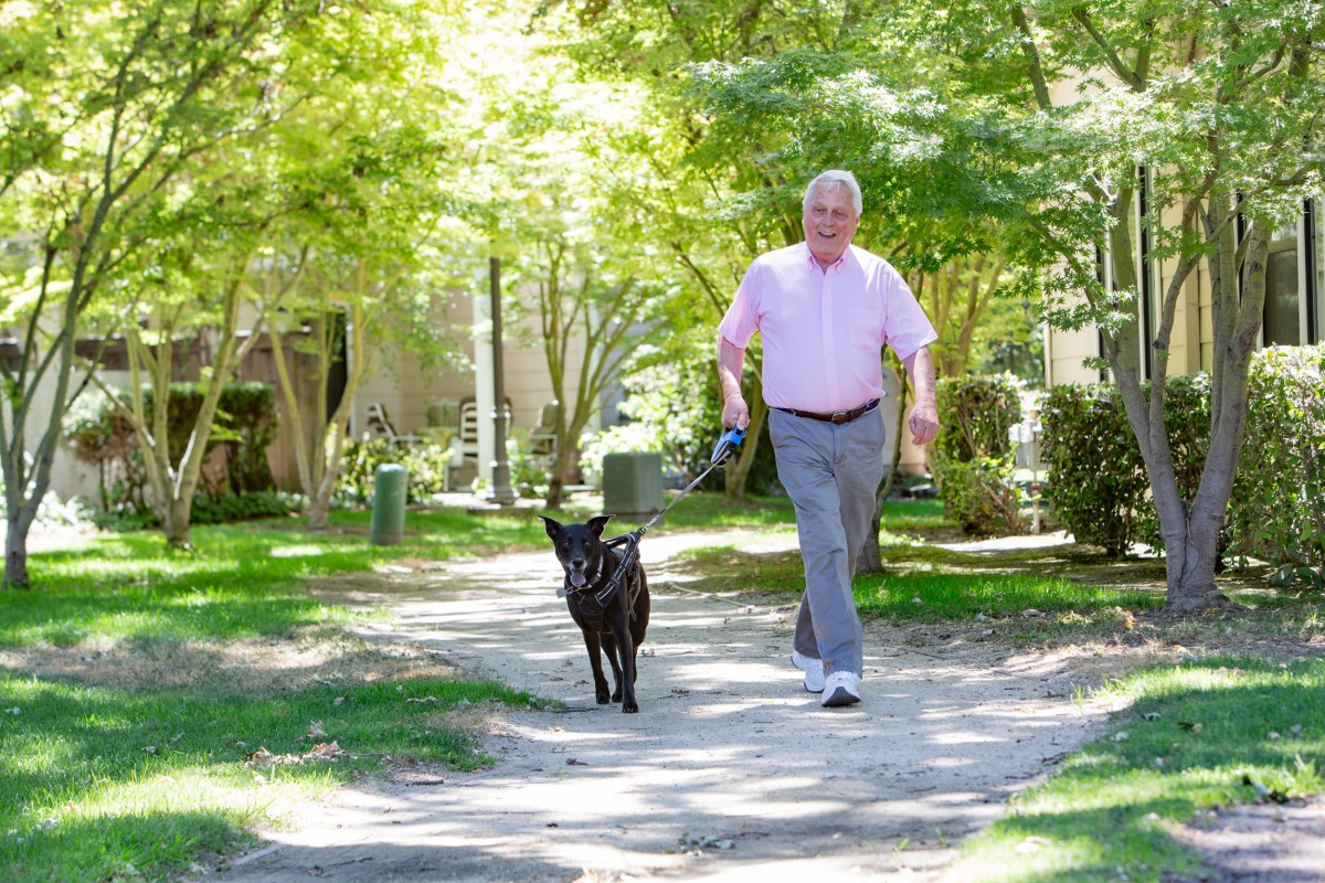 A man walking a dog in a sunny park.