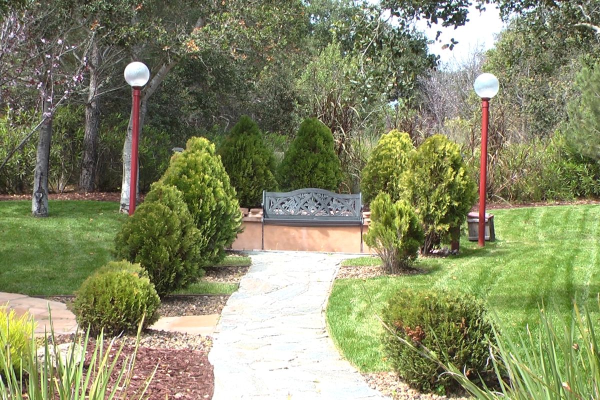 A serene garden scene with a pathway leading to a bench surrounded by trees.