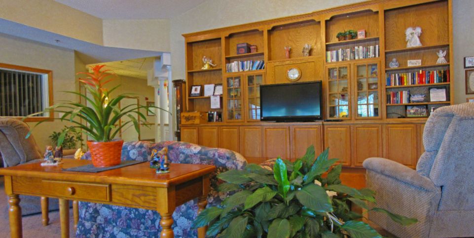 A cozy living room with a wooden bookshelf, television, and indoor plants.