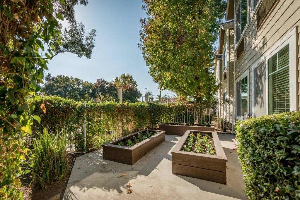 A sunny patio with raised garden beds surrounded by greenery.