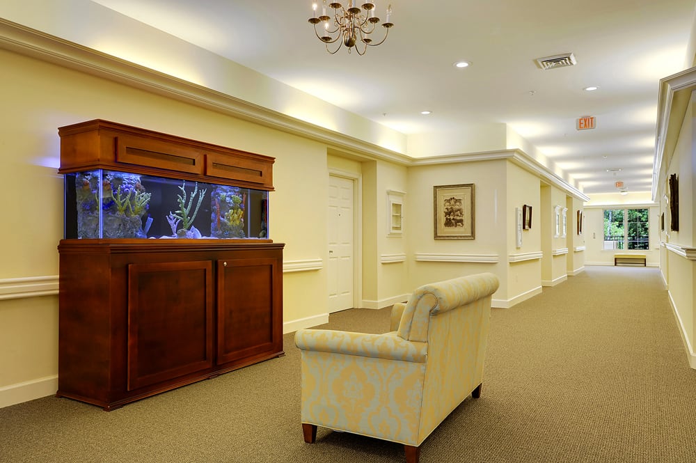 A well-lit hallway featuring a sofa and an aquarium, with elegant lighting and decor.