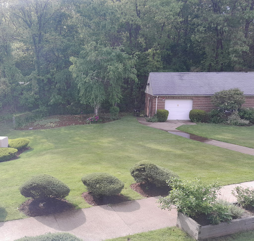 A serene view of a well-maintained yard and house surrounded by greenery.