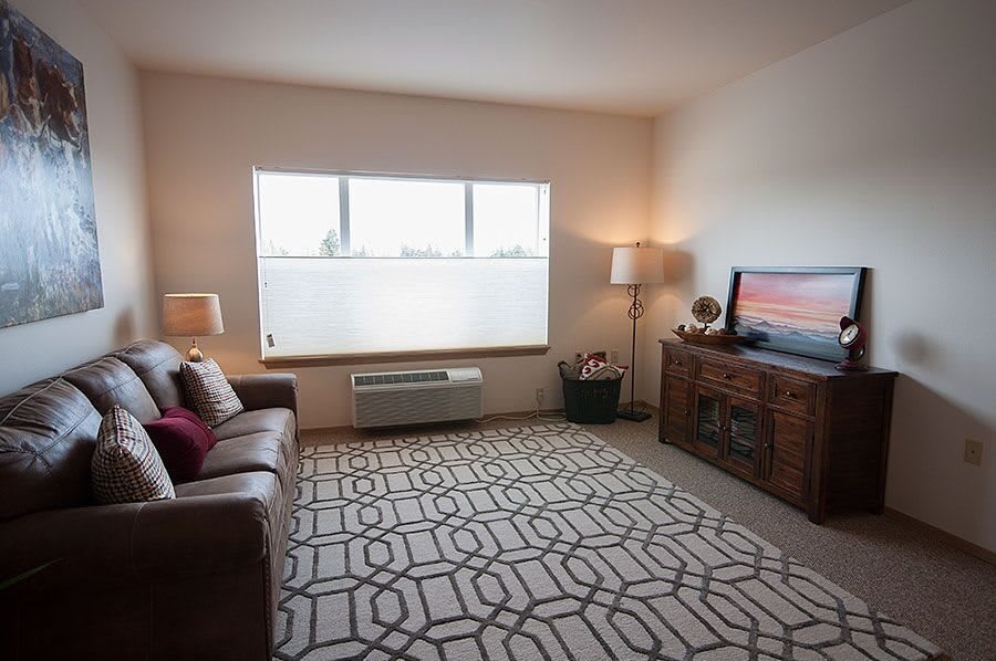 A cozy living room with a sofa, TV, and a patterned rug.