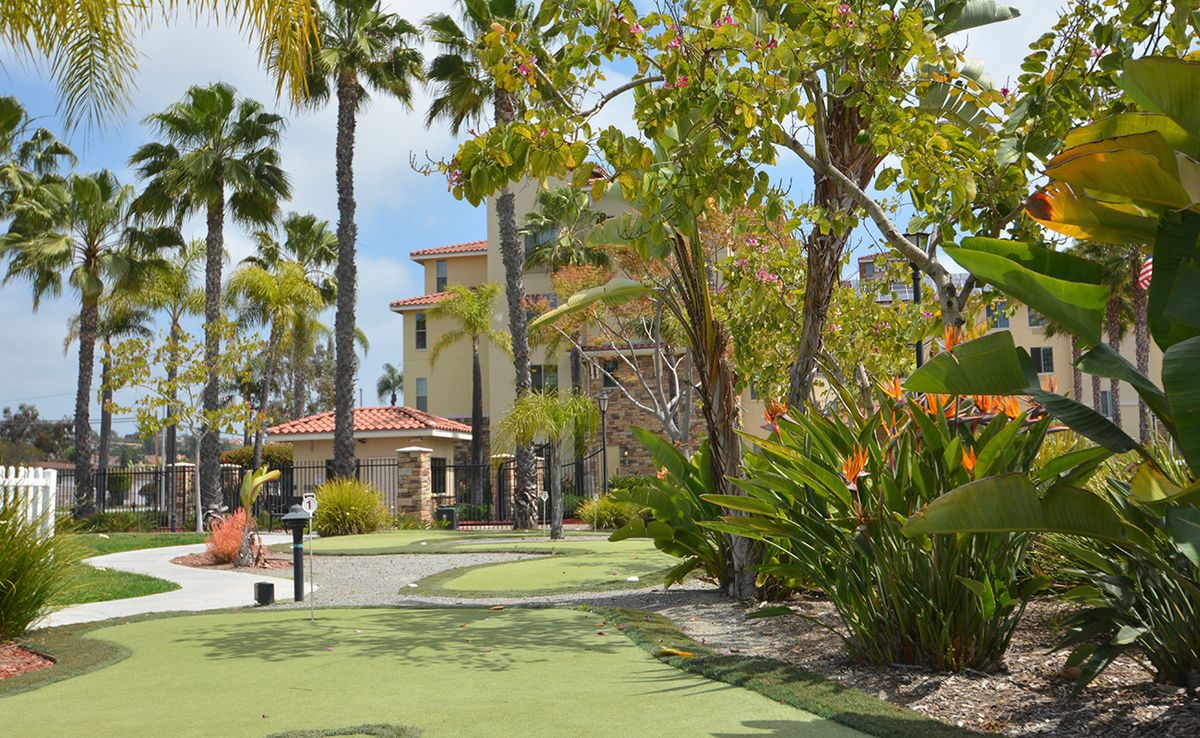 A sunny pathway lined with palm trees and greenery, leading towards a building in a tropical setting.
