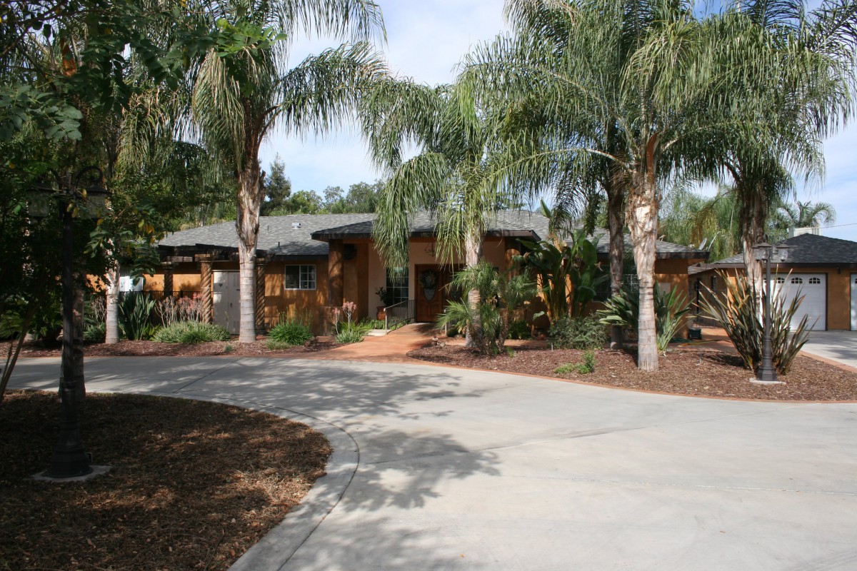 A house surrounded by palm trees with a concrete driveway leading up to it.