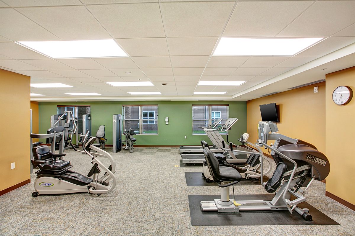 A well-equipped gym with various cardio machines and exercise equipment.
