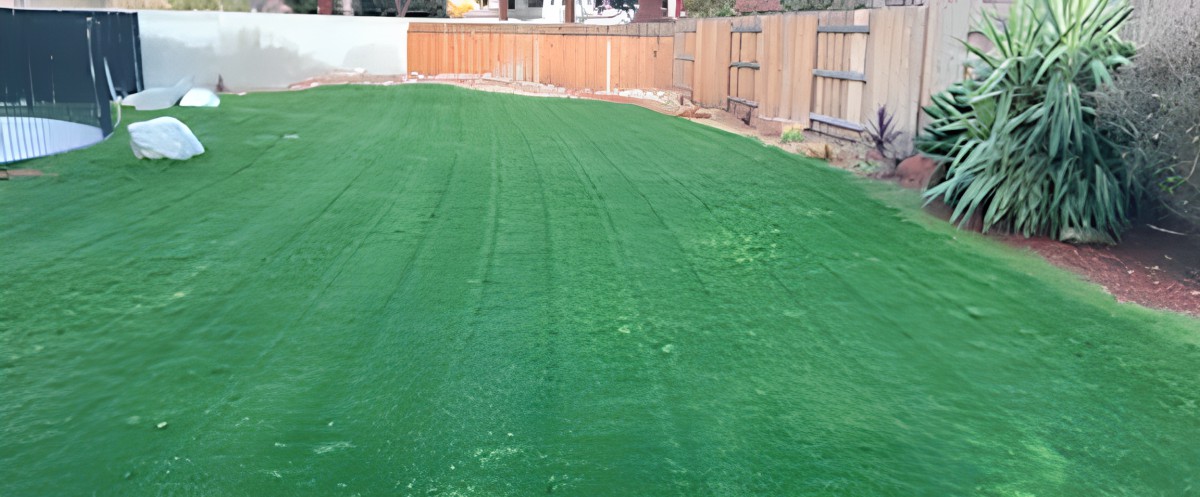 A well-maintained backyard lawn bordered by a wooden fence.