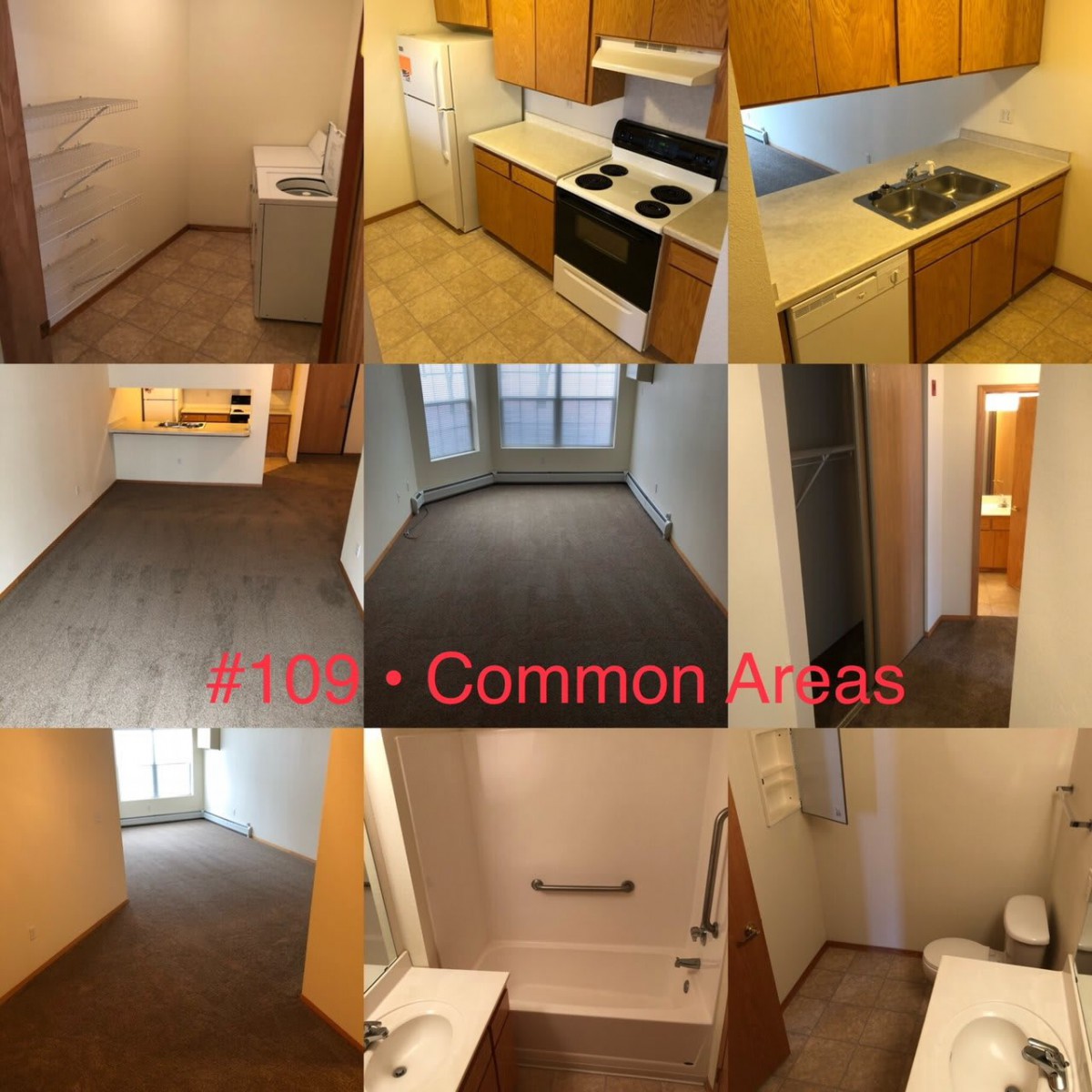 Images showing the common areas of an apartment, including the kitchen, living room, hallway, and bathroom.