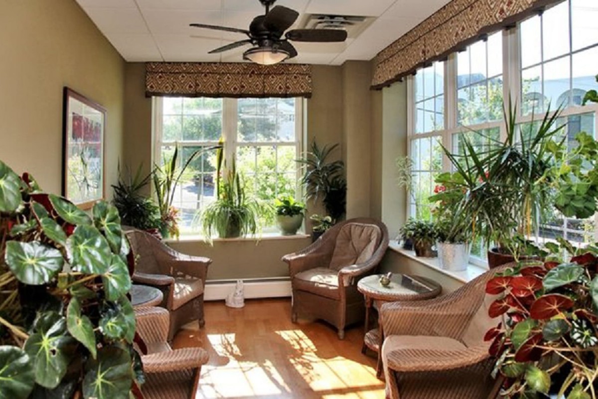 A cozy sunroom filled with natural light and surrounded by lush plants.